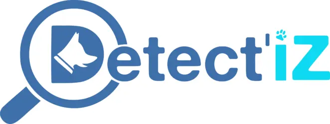 Logo-Detectiz