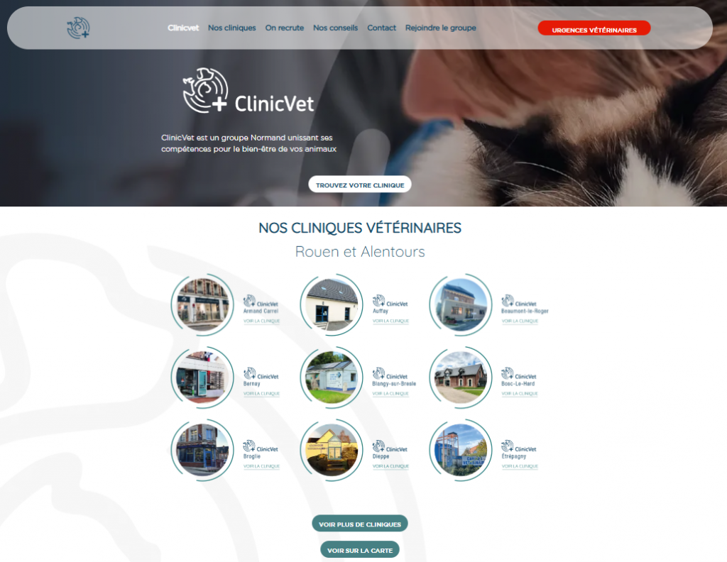 Comment choisir une agence de communication digitale adaptée à mon entreprise ? 2 creation site internet clinicvet